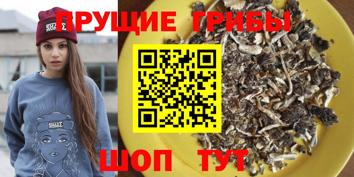 Псилоцибиновые грибы Magic Shrooms Избербаш
